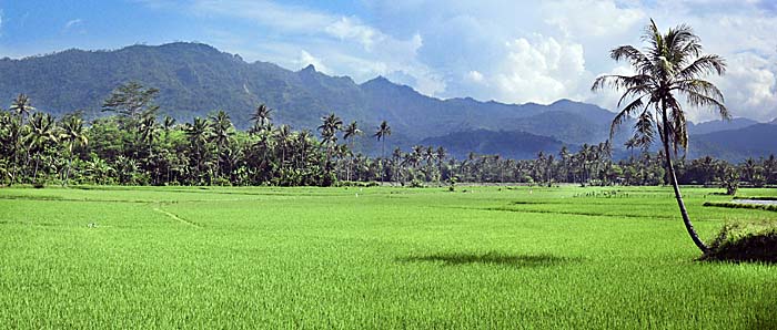 Kedu Plain by Asienreisender